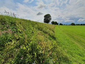 Experiment on the dike