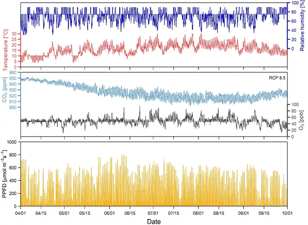 Simulation data series (April-September): Variant - future Climate Change, scenario RCP8.5 ("worst case"), 2071-2100