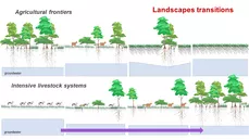 Figure 2. Simplified transitions in landscapes selected for case studies. A. Transitions from forests to crop monocultures such as the Gran Chaco, and B. Transitions of current intensive dairy systems through mixed landscapes and to forests a possible scenario for northern Europe. These stages can co-exist within livestock production systems, and landscapes offer balanced benefits and minimal trade-offs.