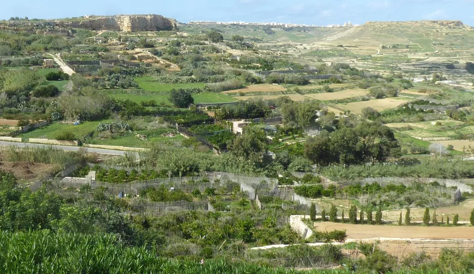Blick in das Masalforn Tal mit seinen terrassierten Hängen 