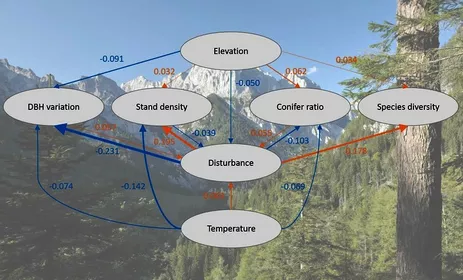 Future drivers of forest dynamics at Berchtesgaden national Park. Source: Thom et al. (2022)