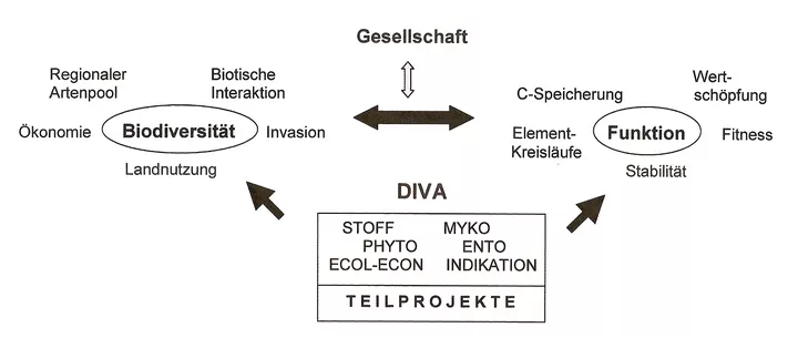 Abb. 1: Schema zum Forschungsansatz und zur Vernetzung der einzelnen Teilprojekte.