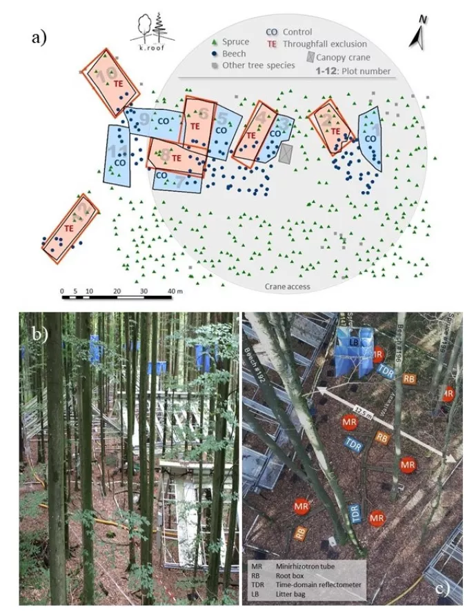 Figure 1: Map of Kranzberg (top, a), view of the roofs from the crane (bottom left, b) and overview of installed structures per plot (bottom right, c) (Taken from Grams et al. 2021).