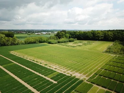 Versuchsstation Roggenstein: Analyse der Langzeitwirkungen von Pflanzenkohle auf Böden, Pflanzen und Umwelt (Projekt TerraBayt) 