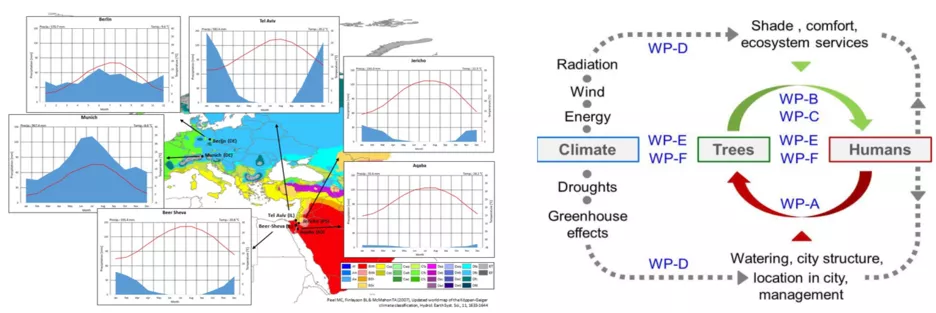 Left: Climatic zones based on the Köppen-Geiger climate classification and climate diagrams of the selected cities; Right: Schematic overview of the project contents