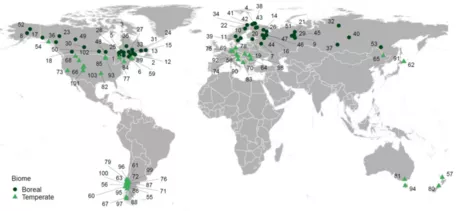 A compilation of 103 forest landscapes developing naturally for studying local vs. global drivers of ecosystem dynamics. Source: Seidl et al. (2020)<br />
